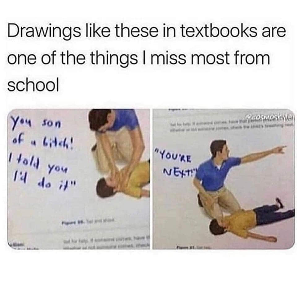 This meme is a humorous commentary on the often-remembered, but rarely-remembered, drawings from school days. The image shows a cartoon of a boy being tackled by another boy, with a note written in the margin saying "You son of a b***h, I told you I'd do it!" The text above the image reads, "Drawings like these in textbooks are one of the things I miss most from school."