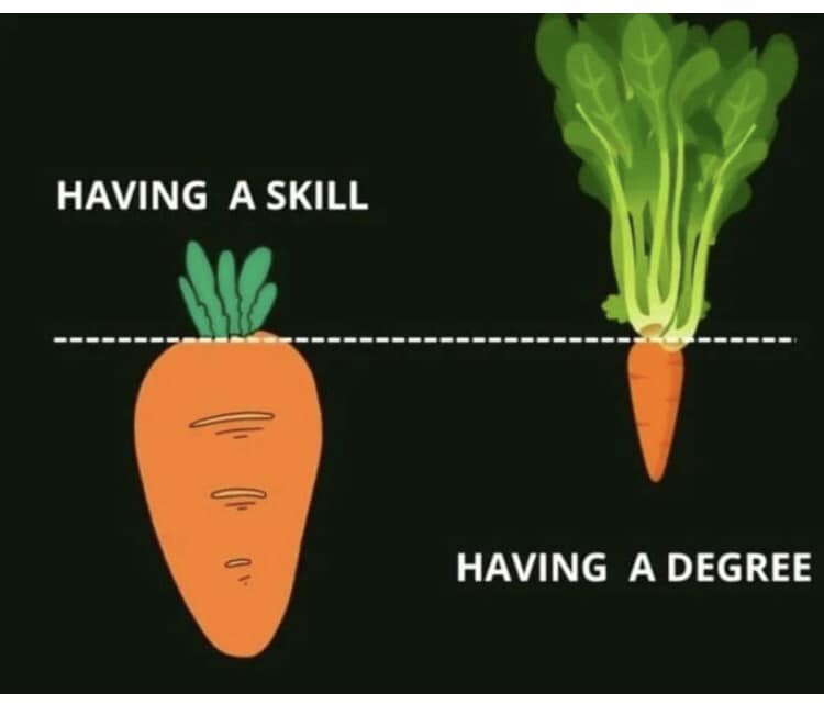 The meme is a humorous comparison between having a skill and having a degree. It depicts two carrots, one labeled "Having a Skill" and the other "Having a Degree". The "Having a Skill" carrot is shown to be a deep and complex root, whereas the "Having a Degree" carrot is only a few inches deep, implying that having a degree is not as valuable as having a real skill.