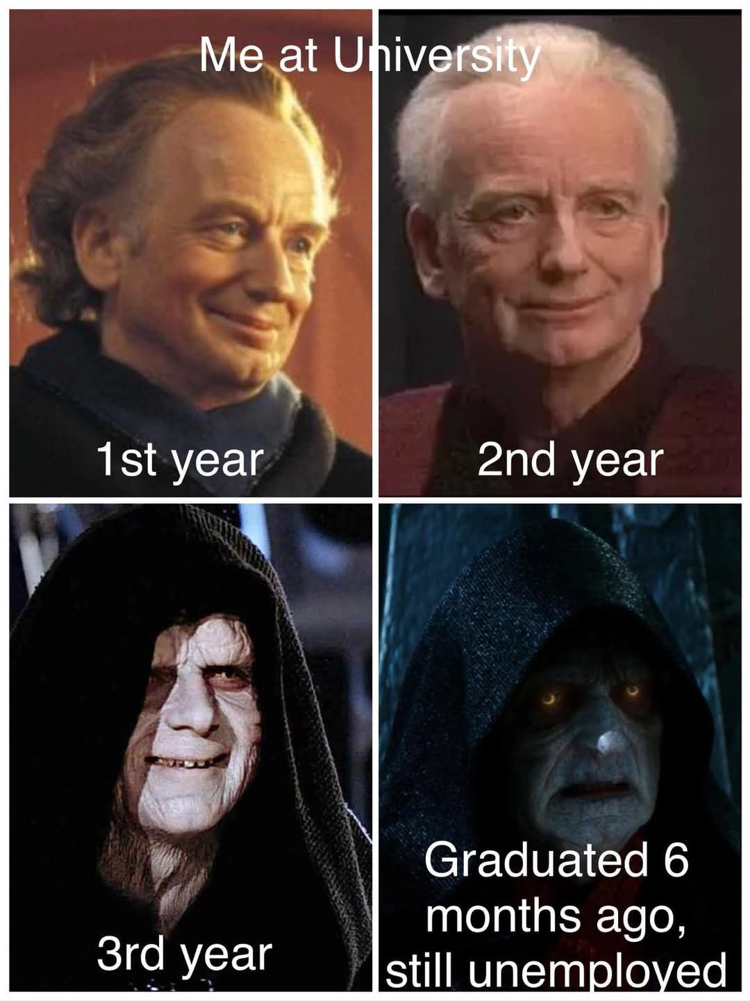 The meme is a humorous representation of the transformation of a student's appearance and attitude over the years at university. It starts with a young, enthusiastic student (the "1st year" image) and ends with a disheveled, old, and darkly-featured individual (the "Graduated 6 months ago, still unemployed" image). The text at the top of the meme reads, "Me at University."