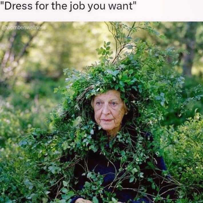 The meme is a photo of a person covered in leaves and vines, with a serious expression. The image is captioned "Dress for the job you want" in a tongue-in-cheek reference to the idea that one should dress professionally for a job interview. The humor comes from the absurdity of dressing in a way that is literally "for the job" of being a tree or a plant.