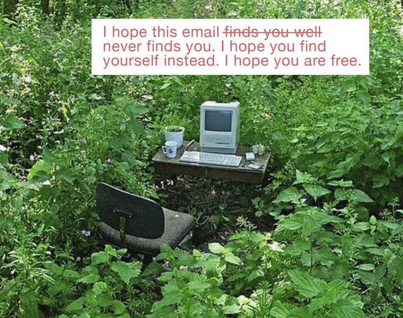This meme is an image of a computer and chair in a dense, overgrown forest. The computer is on a small table, surrounded by weeds and vines, and the chair is partially buried in the dirt. The text at the top of the image reads: "I hope this email finds you well... never finds you. I hope you find yourself instead. I hope you are free." The image is a humorous commentary on the idea of being "unplugged" and finding freedom from the pressures of modern life.