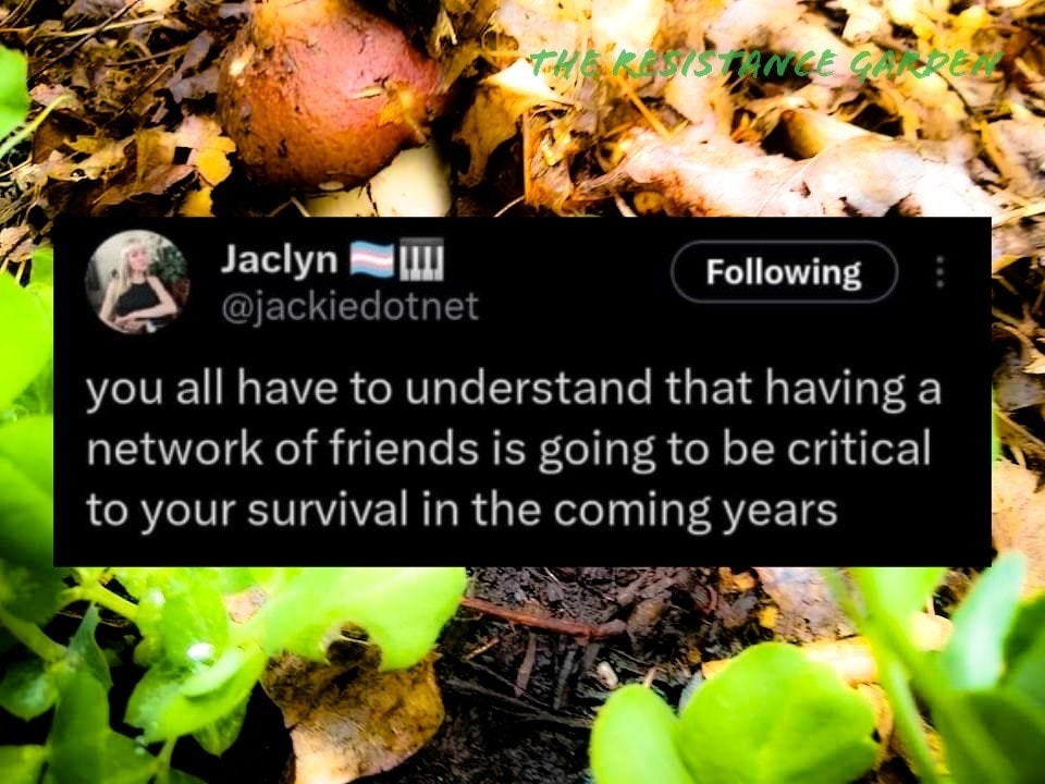 This meme is a humorous commentary on the importance of having a strong social network. The image features a screenshot of a tweet from a user named "Jaclyn" that reads, "You all have to understand that having a network of friends is going to be crucial to your survival in the coming years." The text is presented in a plain, white font on a black background, and is surrounded by a photo of a forest floor, complete with leaves and mushrooms.