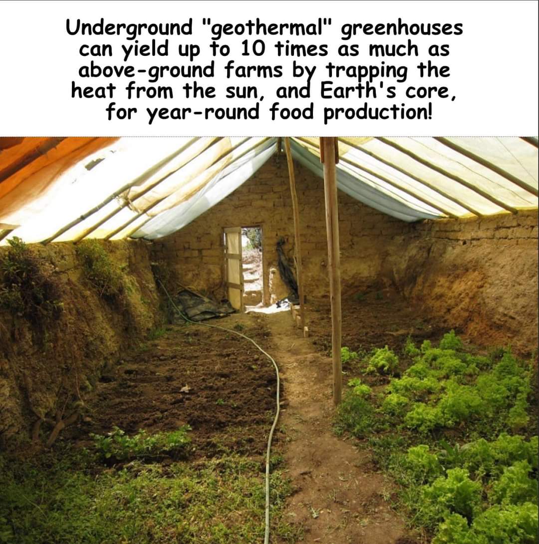 This meme is a humorous take on the idea of a "cottagecore" aesthetic, which emphasizes a cozy and natural approach to living. The image depicts a rustic, earthy, and natural setting, with a focus on simplicity and su...