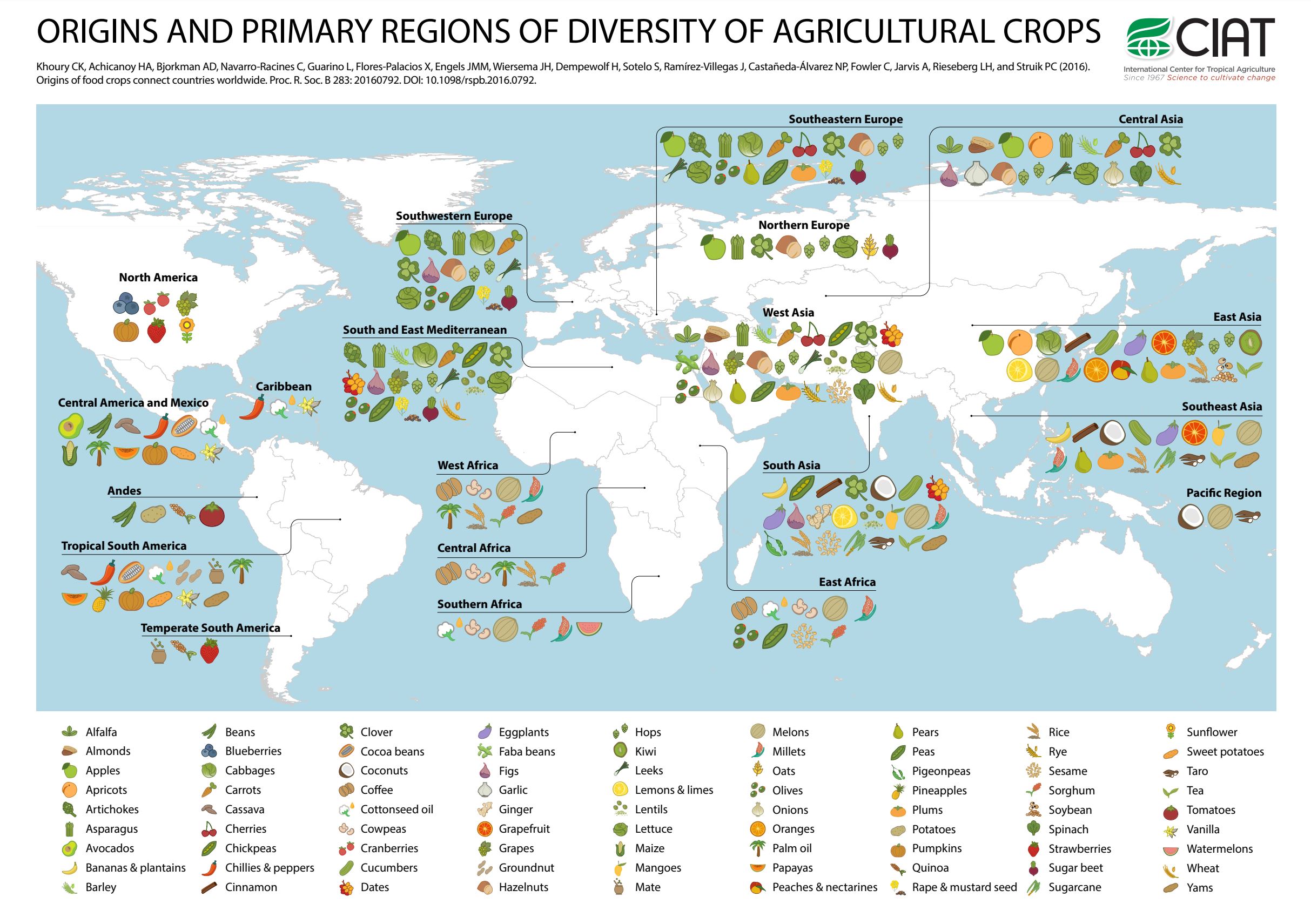 The meme is a map of the world with various countries' cuisines represented as food icons. The text at the top reads, "Origins and Primary Regions of Diversity of Agricultural Crops". The map is divided into regions, with each region's food icons grouped together, such as "North America" featuring apples, berries, and corn, while "South America" features a mix of foods like achi...