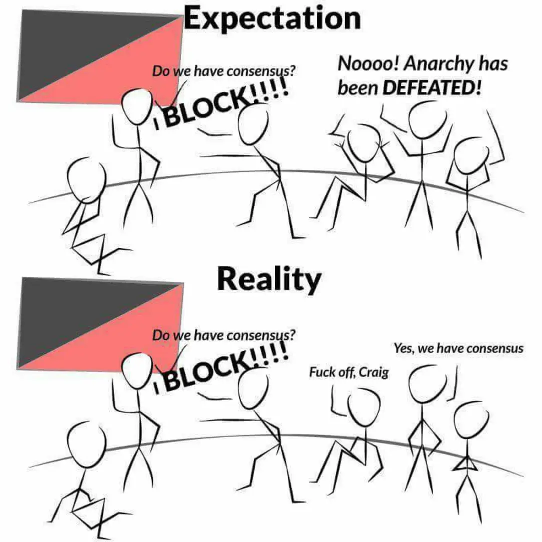 This meme is a humorous illustration of the concept of "anarchy" versus "consensus" in a group setting. The top panel shows a group of people discussing whether they have consensus, with one person saying "Do we have consensus?" and another responding "NO!" The bottom panel shows a group of people in a chaotic, anarchic state, with one person saying "Anarchy has been DEFEATED!" and another responding "Yes, we have consensus!" The text "I was expecting anarchy, I got consensus" is written in the top panel.