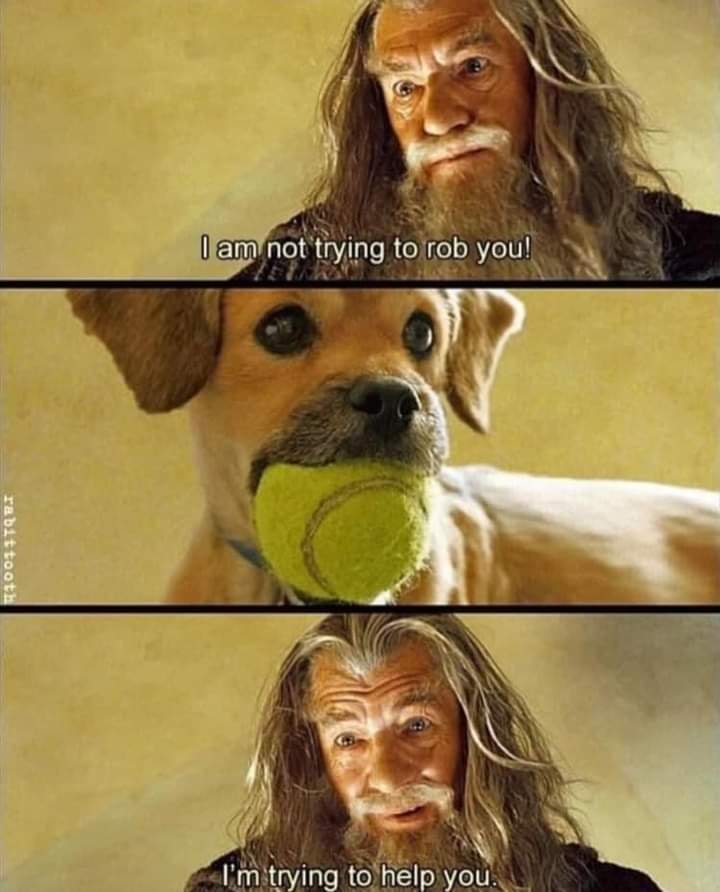 This meme is a humorous image that uses a scene from the movie "The Lord of the Rings" to illustrate a humorous conversation between a dog and a wizard. The text at the top of the image reads "I am not going to help you" and the text at the bottom reads "I am going to help you". The image shows a dog holding a tennis ball and a wizard (played by Ian McKellen) saying "I am not going to help you" and then "I am going to help you". The meme is a play on the idea that a dog is trying to get the wizard's help, but the wizard is initially unwilling to help, but then changes his mind.