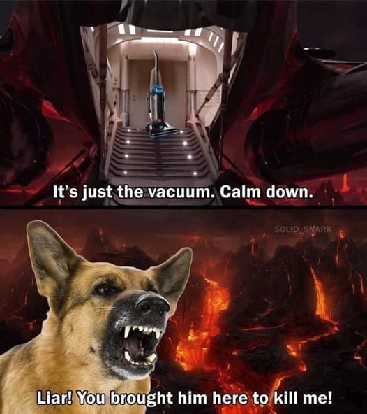 This meme is a humorous take on the infamous "I see dead people" scene from the movie "The Sixth Sense". The image features a dog with a menacing expression, accompanied by the text "I see dead people" and "It's just the vacuum, calm down". The meme is a play on the original scene's eerie atmosphere, but with a more lighthearted and absurd twist.