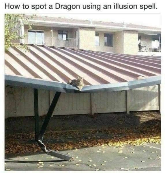 This meme is a humorous example of "photobombing," where a unexpected element is added to a scene. The image shows a cat sitting on a roof, but what's unusual is that the roof is a table that's been flipped on its side, and the cat is sitting on the edge, as if it's a dragon perched on a mountain. The text at the top of the image reads "How to spot a dragon: use an illusion spell."