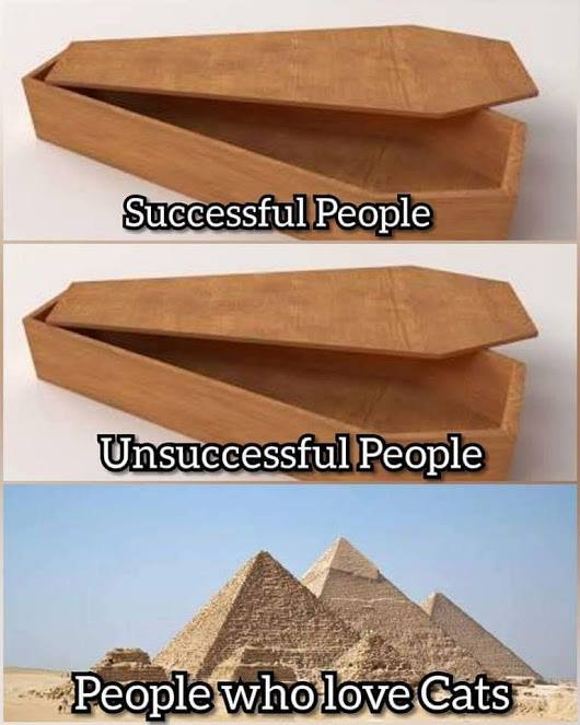This meme is a humorous comparison between successful and unsuccessful people, using a clever and darkly comedic analogy. The image shows a coffin labeled "Successful People" and another labeled "Unsuccessful People", with a third image showing a pyramid labeled "People who love Cats". The text "In 2-3 sentences, describe this meme for someone who cannot see it" is not part of the original meme, but I'll provide a brief summary: The meme uses a humorous and irreverent tone to poke fun at the idea that people who love cats are somehow less successful or less worthy of a good burial.