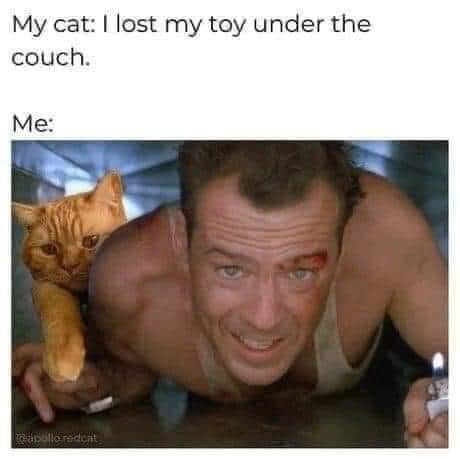 This meme is a humorous image of a man (Bruce Willis) from the movie Die Hard, with a cat perched on his shoulder. The text above the image reads "My cat: I lost my toy under the couch." The image is a play on the iconic "yippee ki yi yi" line from the movie, but in this case, it's the cat's response to the situation.