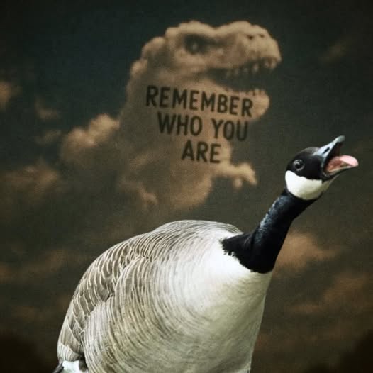The meme features a goose with its beak open, as if it's about to speak. The text "REMEMBER WHO YOU ARE" is written in the background, appearing to be coming out of the goose's mouth. The image is humorous and relatable, suggesting that the goose is reminding itself or others of their importance or identity.