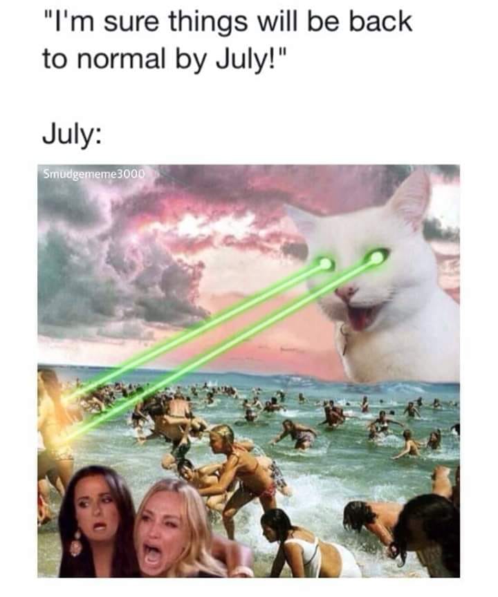 The meme is a humorous commentary on the COVID-19 pandemic and its impact on people's lives. The image features a cat with a laser beam coming out of its mouth, surrounded by a crowd of people in a chaotic scene. The text above the image reads, "I'm sure things will be back to normal by July!" followed by "July:" and then the image.  The meme suggests that the speaker is optimistic about the situation improving by July, but the image implies that things may not be as good as they seem. The cat with a laser beam is likely meant to represent the challenges and difficulties that people have faced during the pandemic, while the crowd in the background may represent the sense of chaos and uncertainty that has characterized the past few months.  Overall, the meme is a lighthearted way to poke fun at the idea that things will return to normal by July, while also acknowledging the challenges that people have faced during the pandemic.