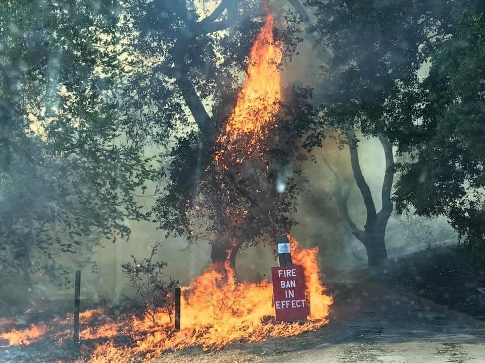 The image shows a large fire burning in a wooded area, with a sign in the foreground that reads "FIRE BAN IN EFFECT." The sign is red with white letters and is surrounded by flames. The fire is burning on the ground and is spreading quickly. In the background, there are trees and a dirt road. The image suggests that the fire ban is not being followed, as there is a fire burning in the area.