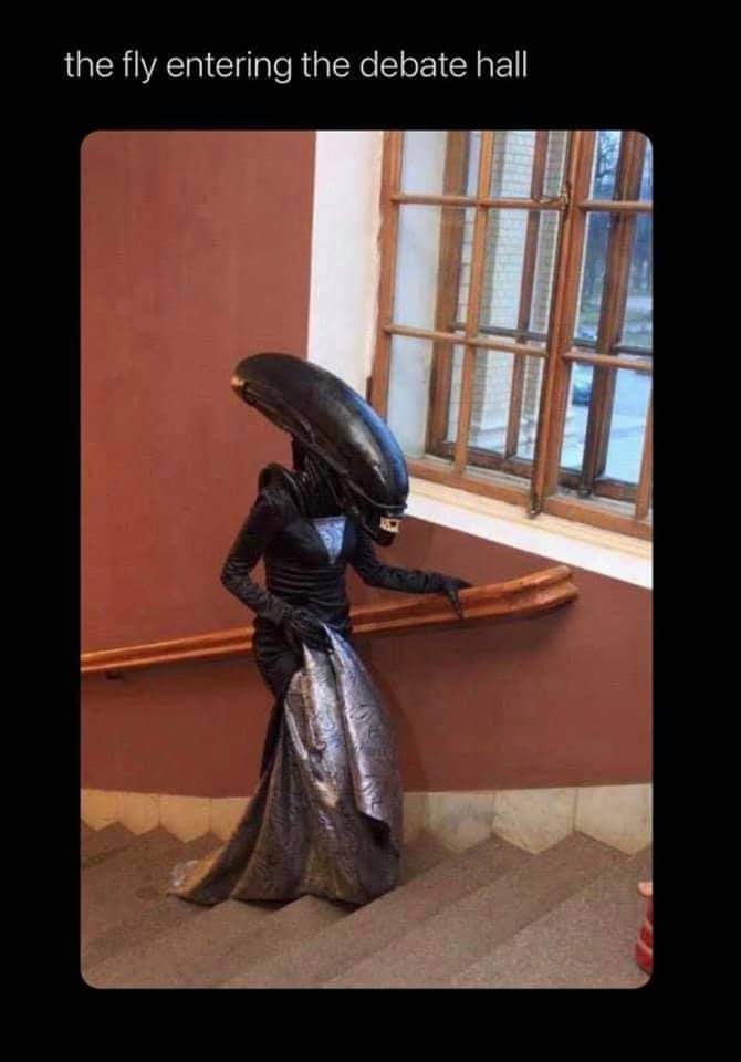 This meme features an image of a person dressed in a Xenomorph costume, a fictional alien species from the "Alien" movie franchise, wearing a long, flowing gown.  The text above the image reads, "the fly entering the debate hall." The implication is that the person in the costume is so out of place in a formal setting, it is comical.