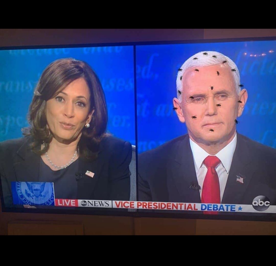 This image is a still from a live news broadcast of a vice presidential debate. It is split into two screens, one for each candidate, Kamala Harris and Mike Pence. The screen on the right has an unusual amount of flies on it, as if they are flying around Mike Pence's head. The text "LIVE" and "VICE PRESIDENTIAL DEBATE" is visible at the bottom of the screen. The image is meant to be humorous, as it is highly unusual for flies to be present on a live news broadcast, especially on someone's head. It is likely meant to be satirical or critical of the event or one of the candidates.