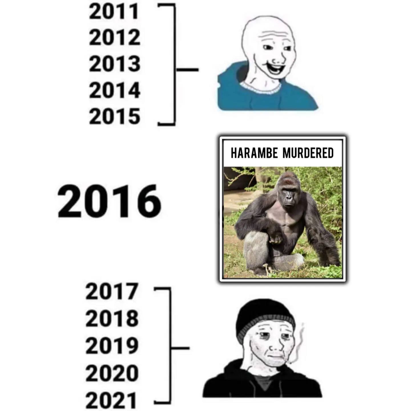 This meme is a humorous take on the concept of "I can explain it better than a 10-year-old" meme. The image features a character with a smug expression, followed by a timeline of years from 2011 to 2021, with a notable gap in 2016. The text "HARAMBE MURDERED" is displayed above a photo of a gorilla, referencing the 2013 incident where a zoo's gorilla, named Harambe, was shot and killed after a child was attacked by it.