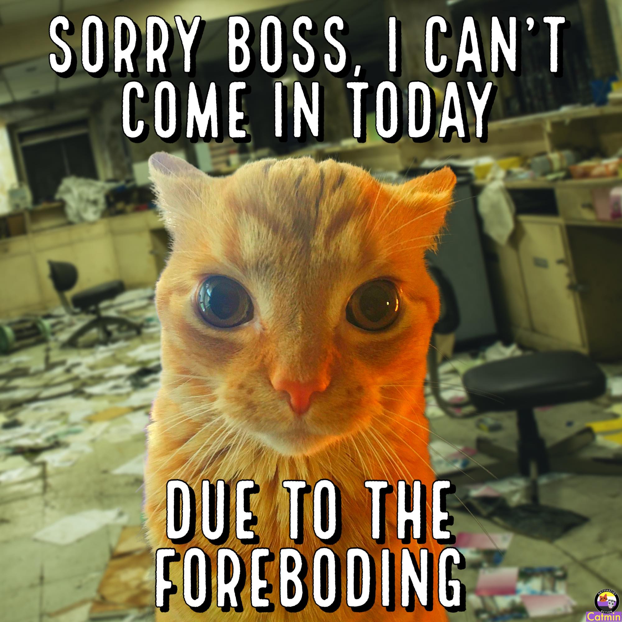 This meme features a cat with a sarcastic expression, accompanied by the text "Sorry boss, I can't come in today... because I'm suffering from a rare condition called 'I'm not feeling like it today'". The cat's caption is a humorous excuse for not showing up to work, implying that the cat is simply not feeling motivated to go in.