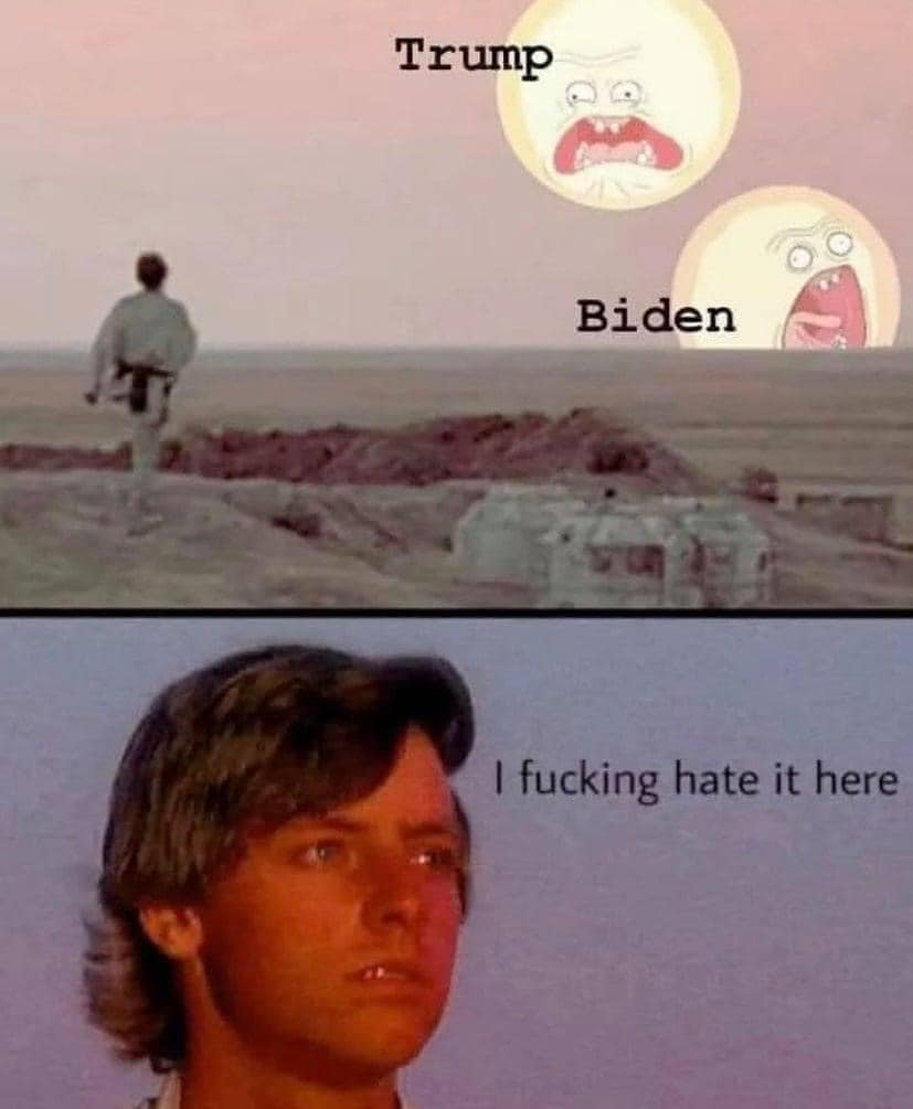 This meme is a humorous commentary on the intense emotions surrounding the 2020 US presidential election. It features a split-screen image with a scene from the 1979 film "The Empire Strikes Back" (specifically, a shot of Luke Skywalker gazing out at the horizon). The top image shows a character looking out at the horizon, with the words "Trump" and "Biden" written above it, implying a sense of desolation and hopelessness. The bottom image shows a character looking directly at the viewer, with the text "I fucking hate it here" written above it, conveying a sense of anger and frustration.