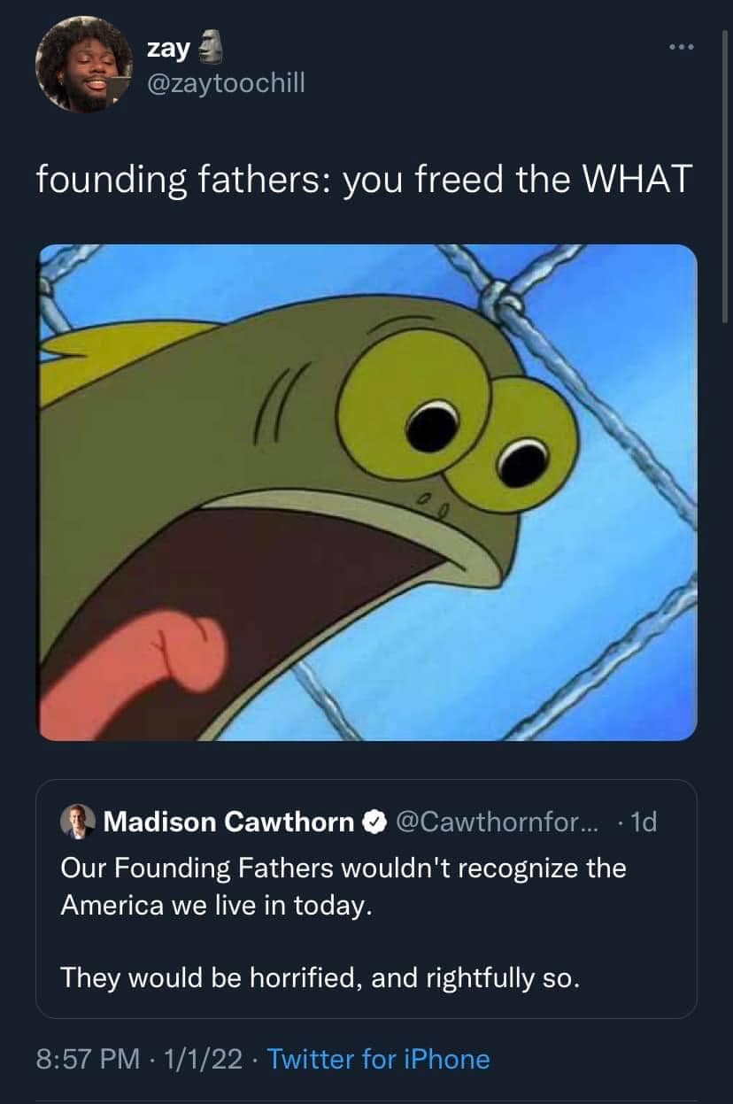 This meme is a humorous image featuring a character from the animated TV show "Rick and Morty" with a shocked expression. The text above the image reads "founding fathers: you freed the WHAT" and is paired with a screenshot from the show. The joke is that the founding fathers, who were known for their role in American history, are being shocked and confused by something, implying that they were not prepared for the consequences of their actions.