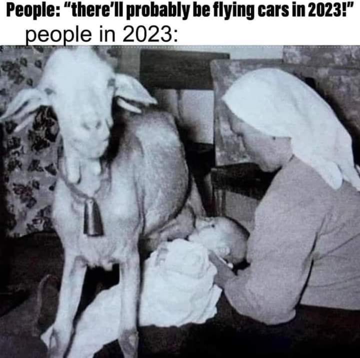 This meme is a humorous commentary on the absurdity of people's expectations for the future. The image features a 1930s photo of a woman in a nun-like habit, holding a baby, with a cow standing over them. The text above the image reads "People: 'there'll probably be flying cars in 2023!'" and below it says "people in 2023". The meme is poking fun at the idea that people's expectations for the future are often overly optimistic and that, in reality, the world is still pretty much the same as it was in the 1930s.