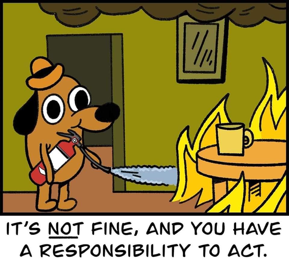 This meme features a cartoon dog holding a fire extinguisher, with a house on fire in the background. The text at the bottom of the image reads: "It's not a fire, it's just a little excitement." The humor comes from the dog's nonchalant attitude towards the situation, implying that the fire is no big deal.