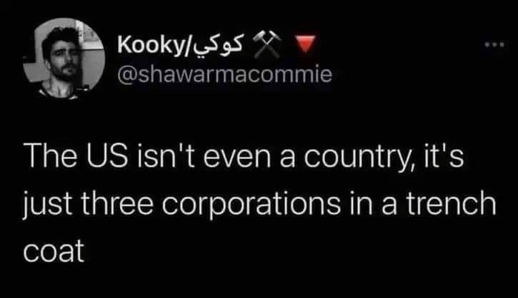 The meme is a joke about the US being a "democracy" in name only, implying that the country is actually a dictatorship or a "three corporations in a trench coat". The text in the image reads: "The US isn't even a democracy, it's just three corporations in a trench coat".
