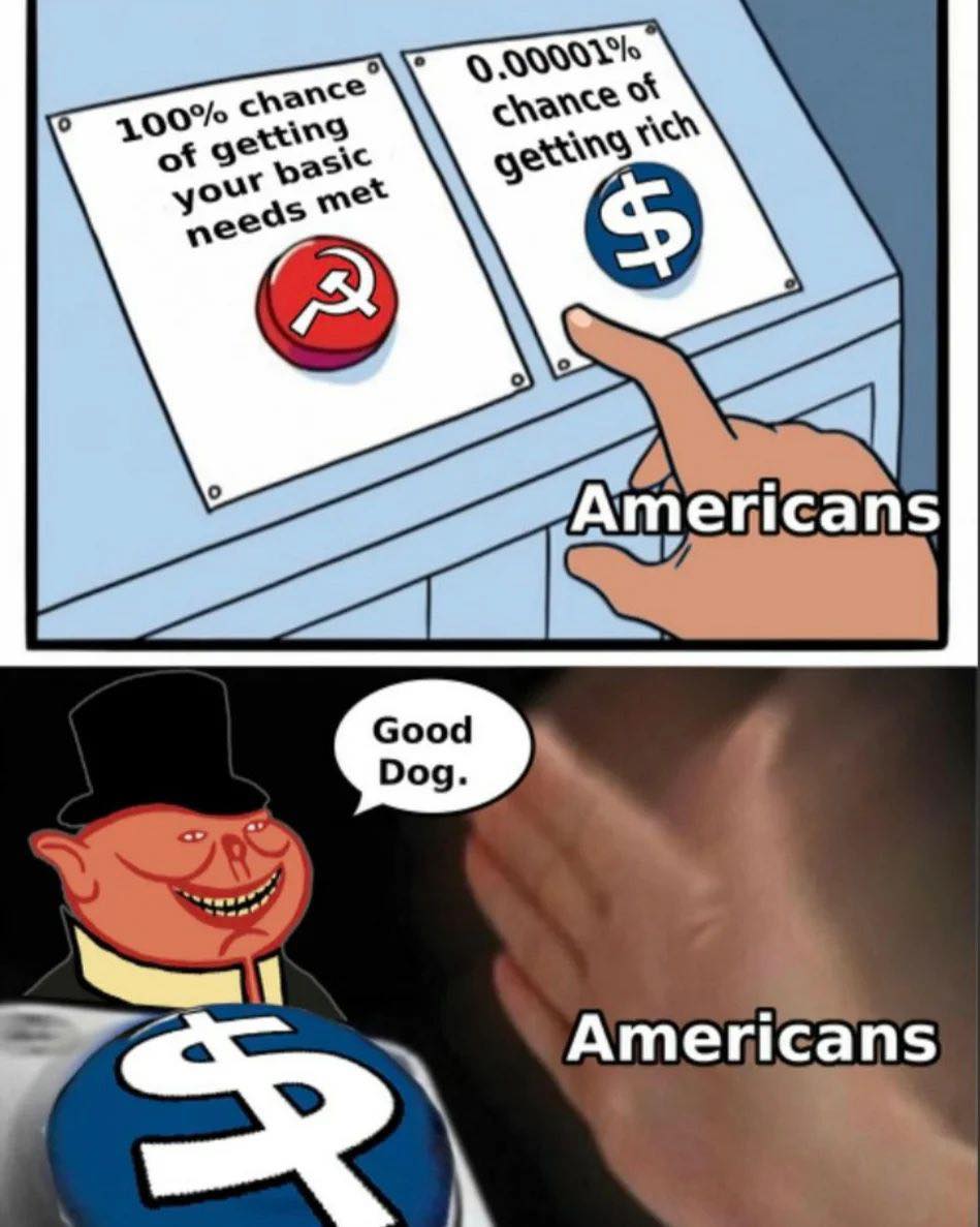 This meme is a humorous commentary on the perceived odds of certain events happening in the United States. The top panel shows two buttons labeled "100% chance of getting your basic needs met" and "0.00001% chance of getting rich". The bottom panel features a cartoon image of a person who has just pressed the "0.00001% chance of getting rich" button, with a speech bubble saying "Good Dog." The text on the image is a commentary on the perceived disparity between the chances of getting one's basic needs met versus becoming wealthy, with the implication that the latter is extremely unlikely.