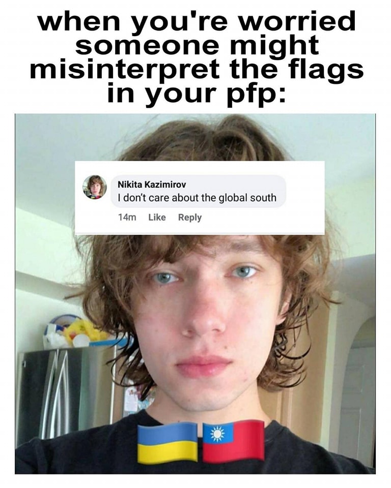 This meme is a humorous example of a "meme" or "image macro" that uses a picture to comment on a situation. The image shows a person with a Ukrainian and Chinese flag (or possibly a Ukrainian and Taiwanese flag) on their face, but the text above it reads: "When you're worried someone might misinterpret the flags in your profile picture". The text below it reads: "I don't care about the global south".