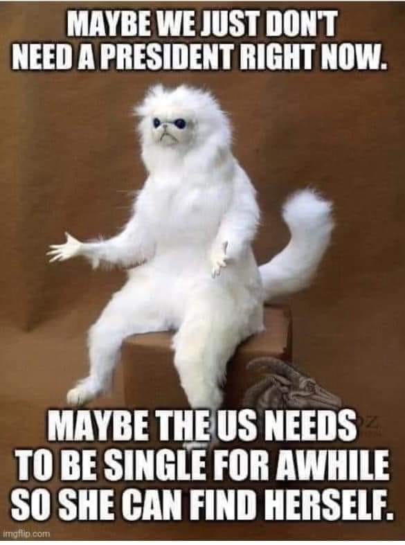 The meme features a photo of a white cat with a surprised expression. The text above the cat reads, "Maybe we just need a new president," and the text below reads, "Maybe we just need to get rid of the current one."