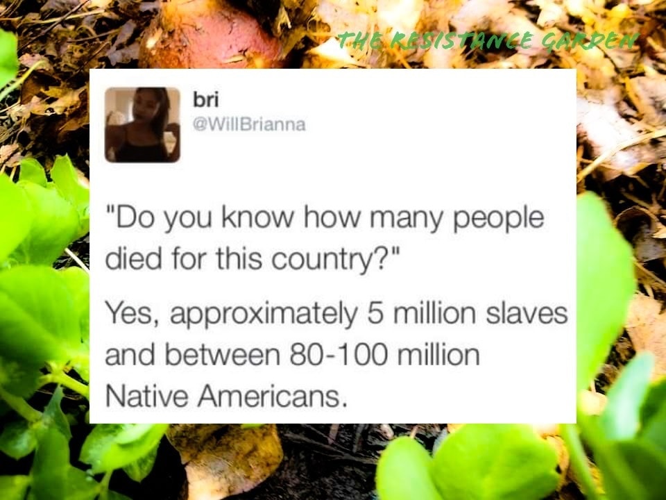 The meme is a humorous response to a question about the number of people who died in a historical event. The text "Do you know how many people died for this country?" is followed by a sarcastic answer that estimates the number of slaves and Native Americans who died as a result of colonialism and the American Revolution. The response is "Approximately 5 million slaves and between 80-100 million Native Americans."