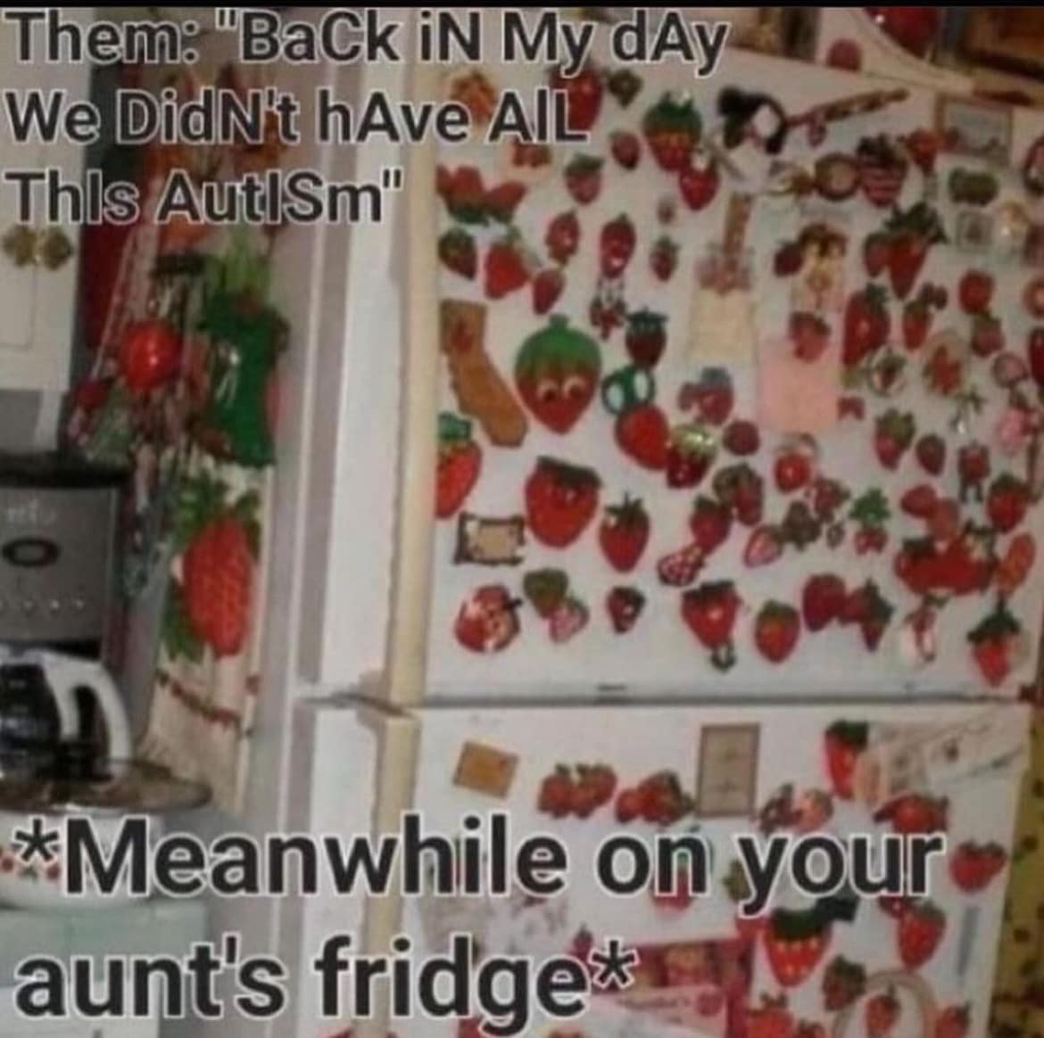 This meme is a photo of a person's fridge, covered in various stickers and magnets of strawberries. The text at the top reads: "Them: 'Back in my day...'". The text at the bottom reads: "We didn't have all this autism stuff. *Meanwhile on your aunt's fridge*".