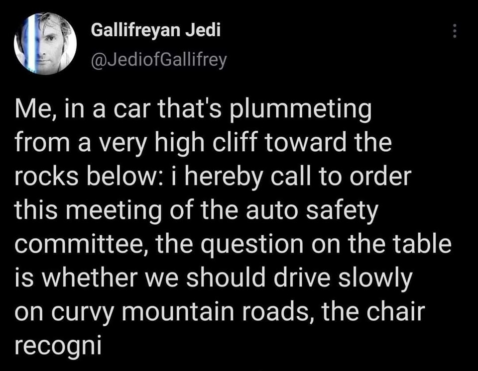 This meme is a humorous example of a person's response to a question about whether they should drive slowly on curvy mountain roads. The text reads: "Me, in a car that's plummeting from a very high cliff toward the rocks below: I hereby call to order this meeting of the auto safety committee, the question on the table is whether we should drive slowly on curvy mountain roads, the chair recognizes."
