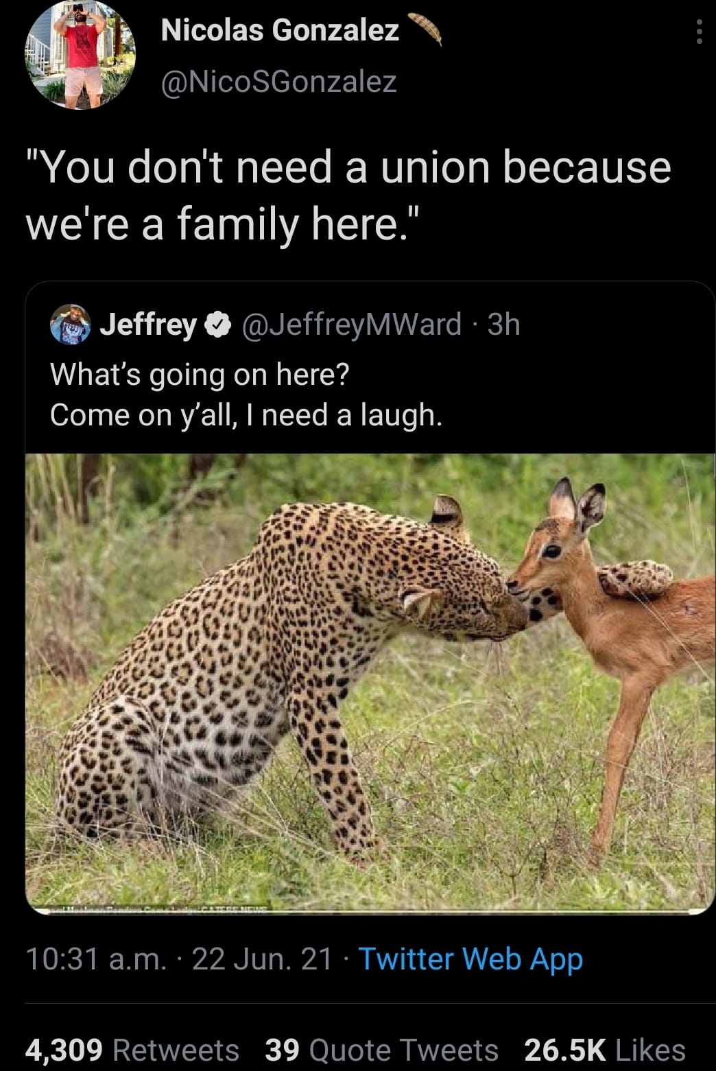 This meme features a photo of a leopard and a deer in a tender moment, with the leopard gently nuzzling the deer's face. The text above the image reads, "You don't need a union because we're a family here." The meme is likely a humorous take on the idea of a workplace union, implying that the leopard and deer are so close that they don't need a union to protect them.