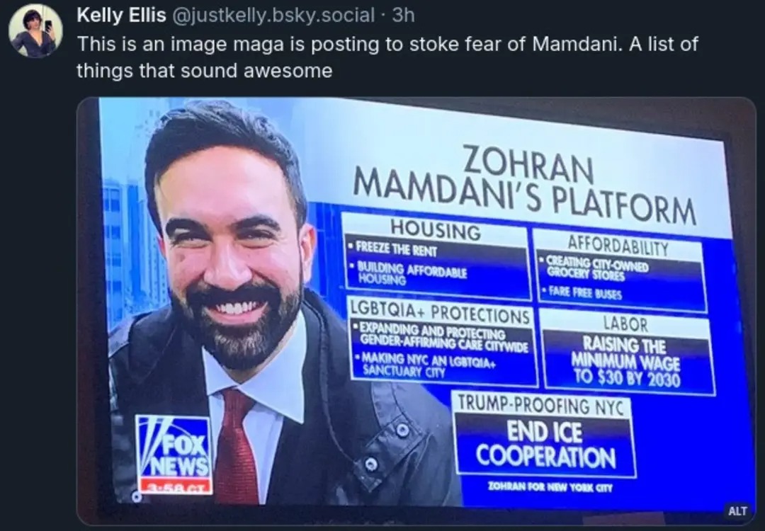 This meme features a Fox News segment where Zohran Mamdani, a New York City councilman, is being interviewed about his platform. The image is captioned, "This is an image maga is posting to stoke fear of Mamdani. A list of things that sound awesome." The segment lists his platform as including things like "freezing the rent," "building affordable housing," "expanding and protecting gender-affirming care citywide," "raising the minimum wage to $30 by 2030," and "end[ing] ice cooperation." The image is meant to be ironic, as these are all things that sound like they would be beneficial to many people, but are being presented as something to fear. The image is meant to be humorous and satirical, poking fun at the idea that some people might find these things to be scary or threatening.