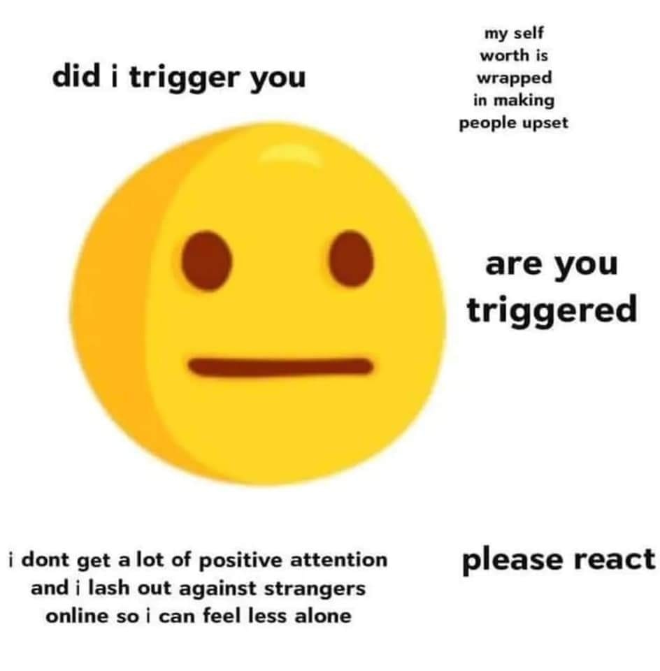 This meme features a cartoon emoji with a neutral expression, often referred to as the "thinking face" or "confused face." The text surrounding the emoji reads: "did i trigger you? are you triggered? i didn't mean to, i'm sorry" and "i didn't mean to, i'm sorry i'm not sorry." The meme is a lighthearted and humorous way to poke fun at the idea of being "triggered" or being overly sensitive.