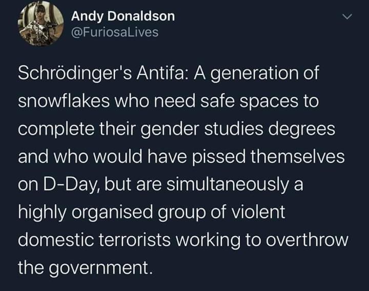 This meme is a humorous comparison between the 2018 film "Annihilation" and the 2019 film "Annihilation" starring Natalie Portman. The image is a quote from the 2018 film, but the meme is actually about the 2019 film, which has a similar title. The quote says, "It's not just a movie, it's a movie!"