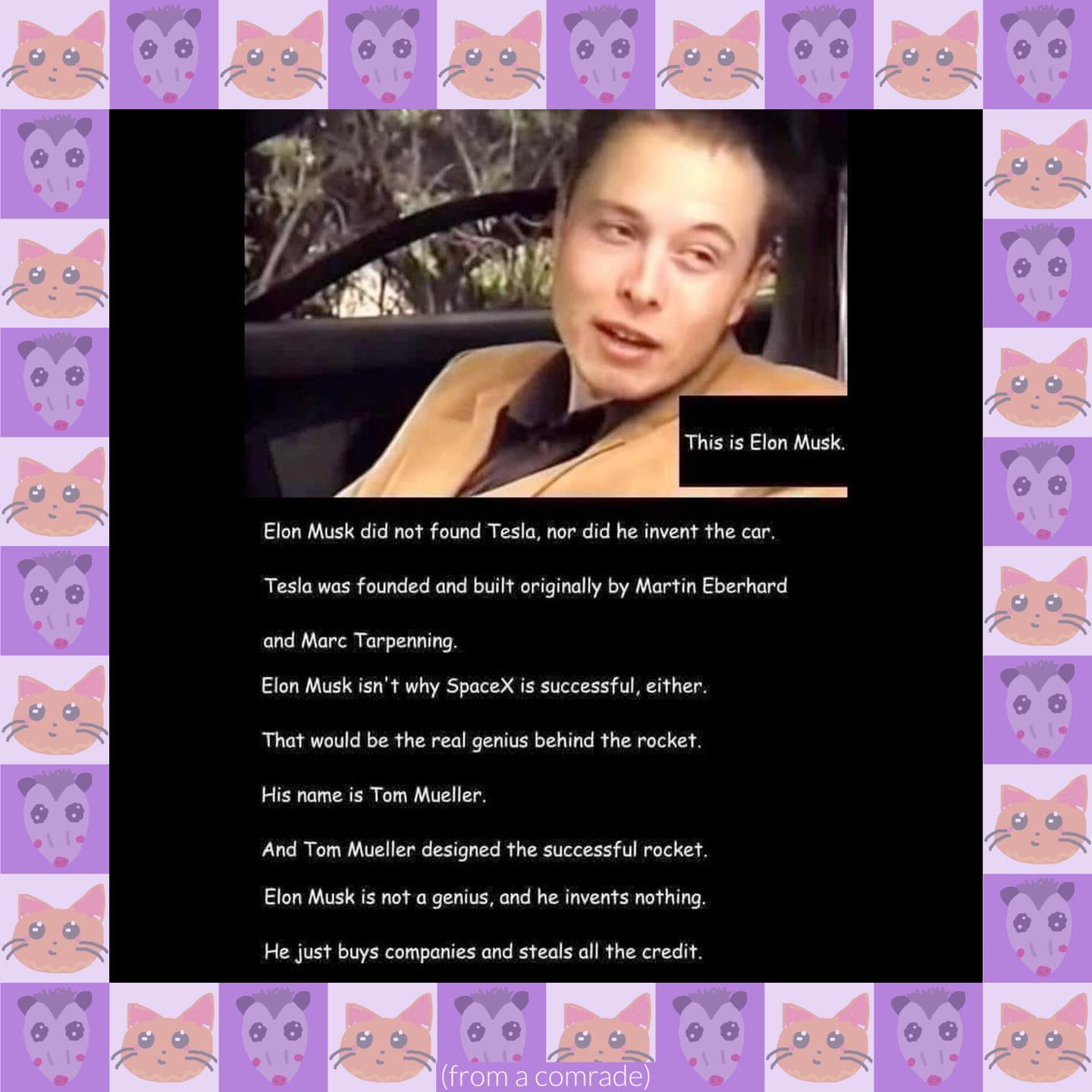 This meme is a humorous image of a person in a car, with a caption that mocks the idea of someone claiming to be a genius like Elon Musk. The text on the image reads: "This is Elon Musk." The meme is a satirical commentary on the self-claimed "genius" of a person who claims to be like Elon Musk.