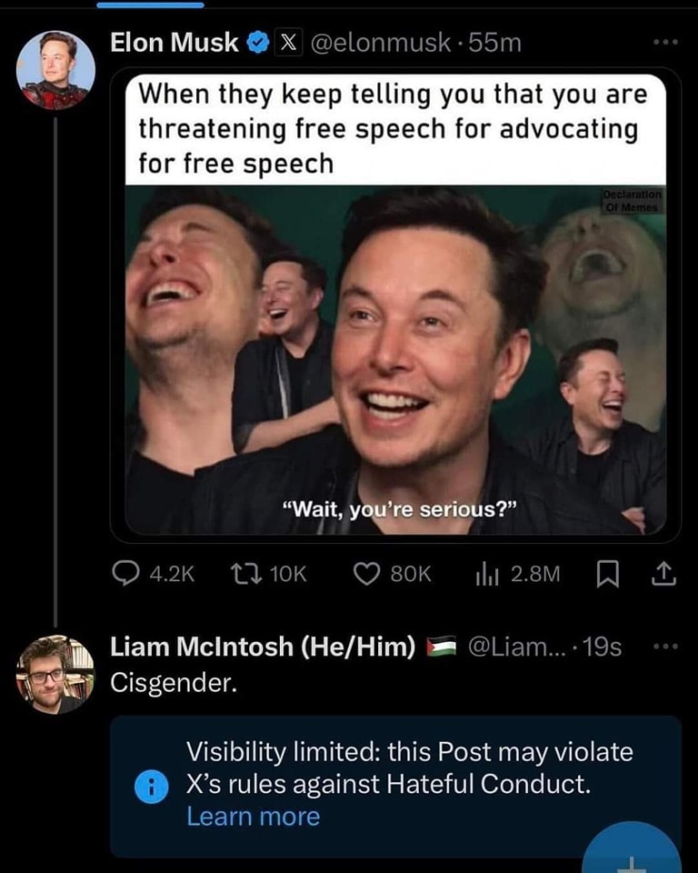 The meme is a screenshot of a Twitter post from Elon Musk, where he is responding to a user who is complaining about being threatened with a ban for advocating for free speech. The user is asking if it's serious that they're being threatened with a ban for advocating for free speech. Elon Musk responds with "Wait, you're serious?"