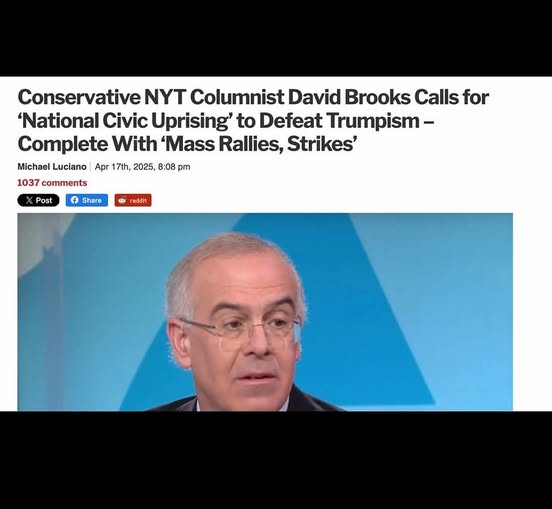 The meme is a screenshot of a news article with a photo of David Brooks, a conservative columnist for The New York Times. The headline reads: "Conservative NYT Columnist David Brooks Calls for 'National Civic Uprising' to Defeat Trumpism - Complete With 'Mass Rallies, Strikes'". The image shows a photo of David Brooks, a middle-aged man with a serious expression, wearing a suit and glasses.