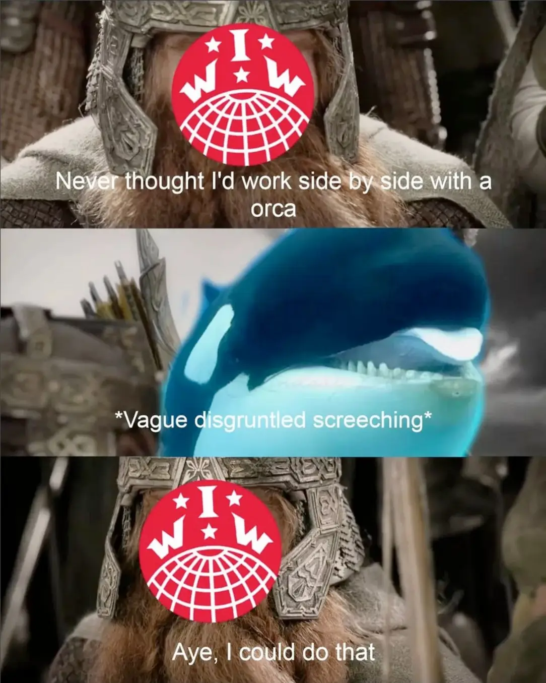 The meme is a humorous image of a person from the Lord of the Rings movie series, wearing a helmet with a big, goofy-looking face. The text above the image reads "Never thought I'd work side by side with a..." and is followed by a picture of an orca, a large whale-like marine mammal. The text continues "Orca" is followed by an image of a face with a goofy expression, and the text "Never thought I'd work side by side with a..." is followed by "Orca".