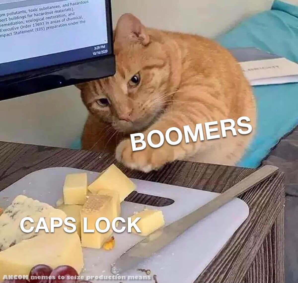 This meme is a humorous image of a cat sitting at a desk, looking at a computer screen with a confused expression. The text "BOOMERS" and "GEN Z" are overlaid on the image, with "BOOMERS" pointing to the cat and "GEN Z" pointing to a nearby screen displaying a Wikipedia page on "Internet Culture". The meme is a lighthearted commentary on the generational differences in online culture, with the cat representing the older generation and the screen representing the younger generation.