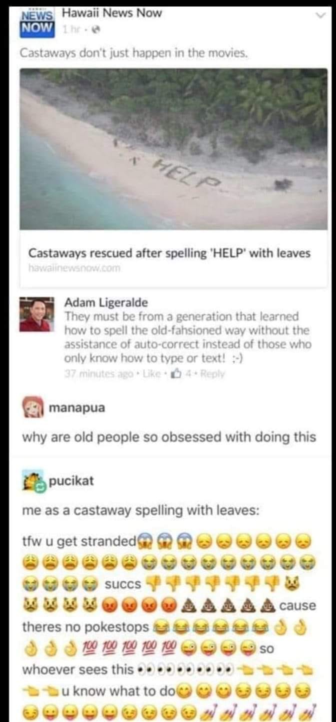 This meme is a screenshot of a Facebook comment thread where a user is responding to a news article about a group of castaways who survived on a deserted island by spelling "HELP" with palm fronds. The user is jokingly asking why the castaways didn't just use their knowledge of the movies to spell "HELP" with leaves, and the conversation devolves into a series of ridiculous and humorous responses, including a user asking why the castaways didn't use their knowledge of the movies to spell "HELP" with leaves, and another user responding with a series of ridiculous and humorous responses, including "they should have used their knowledge of the movies to spell 'HELP' with leaves" and "they should have used their knowledge of the movies to spell 'HELP' with leaves".