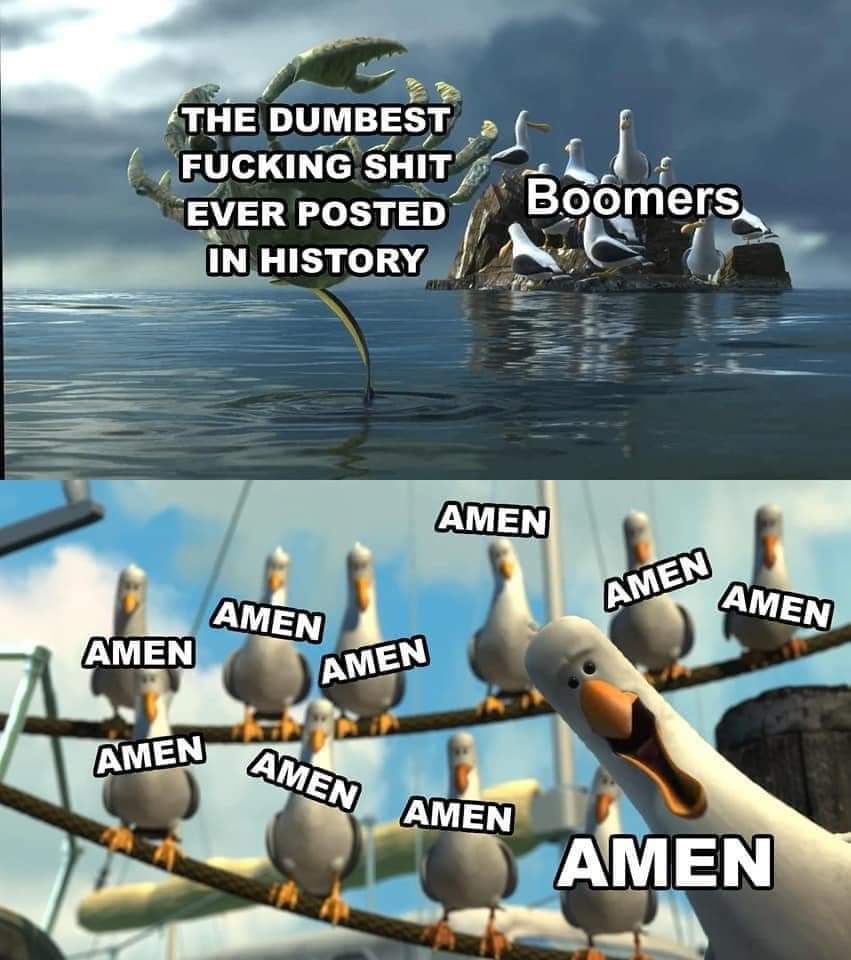 This meme is a humorous commentary on the internet's tendency to amplify and perpetuate absurd or extreme opinions. The image depicts a scene from the movie "The Incredibles" where a group of birds are singing "The Incredibles" song, but with the lyrics replaced with "I can do whatever I want". The text "The dumbest thing ever posted in history" is written above the birds, and the text "Boomers" is written above a group of birds on a rock in the background.