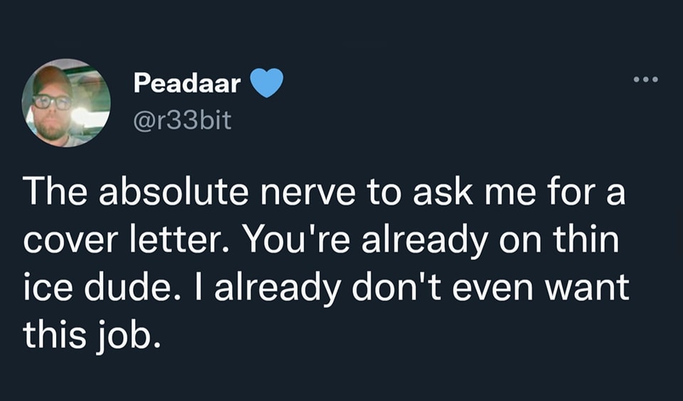 This meme is a humorous take on a job application. It features a screenshot of a job application with a cover letter that reads: "The absolute nerve to ask me for a cover letter. You're already on thin ice, dude. I already don't want to work for you." The image is likely accompanied by a sarcastic or annoyed tone, implying that the applicant is not interested in working for the company and is only applying because they need a job.