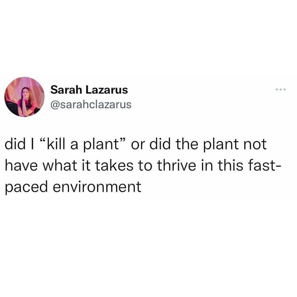 This meme is a humorous take on a common phrase. It features a text overlay that says "I did not" and is accompanied by a photo of a person with a shocked expression. The text continues, "I did not just say I did not, I said I did, I did not say I did not say I did, I did not say I did not say I did not say I did not..." The meme is a playful exaggeration of the phrase "I did not" and is likely meant to be humorous and relatable.