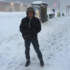 Okay, here's an analysis of the image, broken down into the requested theoretical lenses. Note that not *all* lenses will be strongly applicable, and I'll explain when that's the case. **Visual Description** The image...