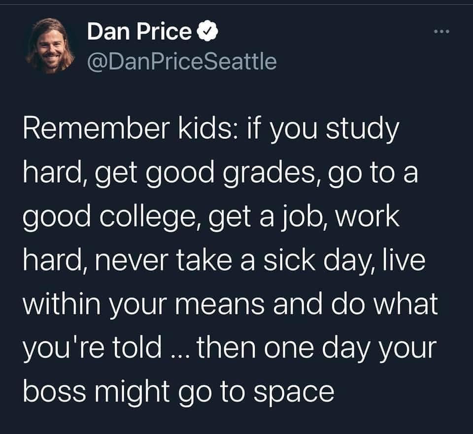 This meme is a humorous take on the common phrase "children should be seen and not heard." The image shows a quote from a fictional book, "The Child's Guide to World Domination," which offers tongue-in-cheek advice to kids on how to become successful adults. The quote reads: "Remember kids: if you study hard, get good grades, go to a good college, get a job, work hard, never take a sick day, live within your means, and do what you're told... then one day your boss might go to space."