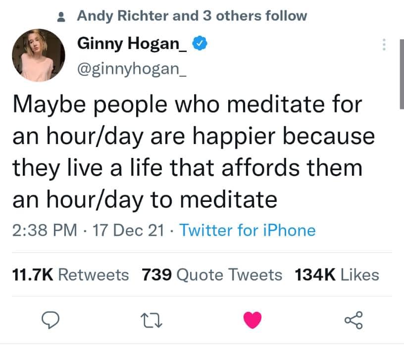 The meme is a screenshot of a tweet from comedian and writer, Ginny Hogan (also known as Ginny Hogan). The text reads: "Maybe people who meditate for an hour a day are happier because they live a life that affords them an hour a day to meditate." The tweet is a humorous commentary on the idea that people who can afford to take an hour to meditate are likely to be happier, implying that their financial stability allows them to prioritize self-care.