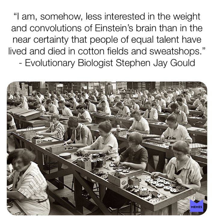 This meme is a humorous commentary on the concept of "intelligent" design, a pseudoscientific theory that suggests the complexity of life can be explained by an intelligent creator. The image features a 1930s-era photograph of women working at a factory, with a quote from evolutionary biologist Stephen Jay Gould. The quote is a satirical take on the idea of "intelligent" design, saying that the complexity of life is not due to a creator, but rather the result of millions of years of evolution.
