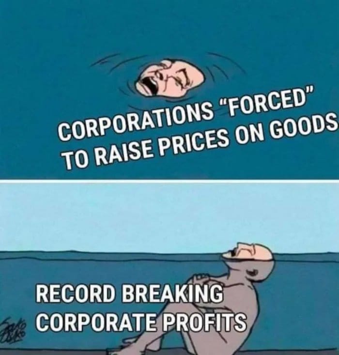 This meme is a humorous commentary on the current economic climate. The top panel shows a cartoon character looking shocked and falling into the water, with the text "Corporations 'forced' to raise prices on goods" above them. The bottom panel shows the same character drowning, with the text "Record breaking corporate profits" above them, implying that the corporations are actually profiting from the increased prices.